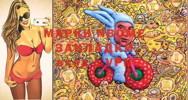 индика Куйбышев