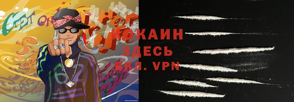 прущие грибы Кукмор