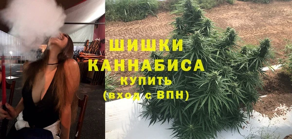 индика Куйбышев