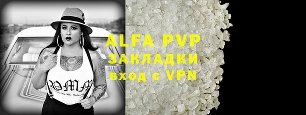 прущие грибы Кукмор