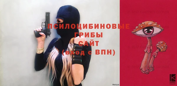 прущие грибы Кукмор