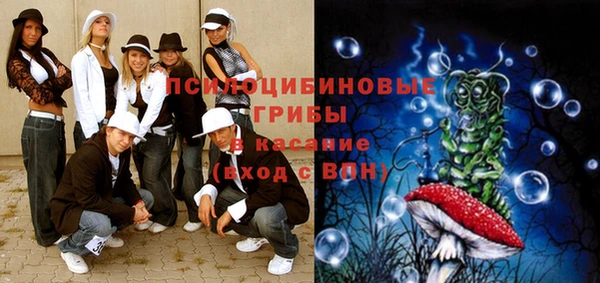 прущие грибы Кукмор