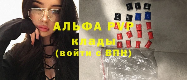 индика Куйбышев