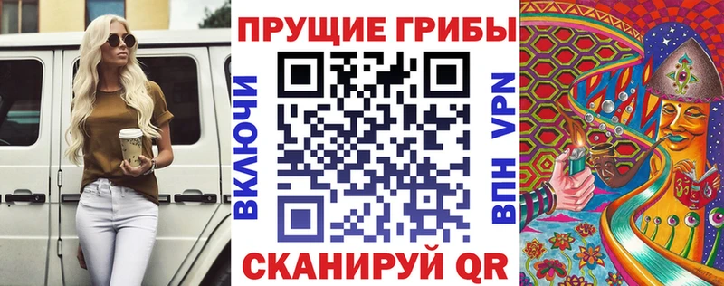Псилоцибиновые грибы GOLDEN TEACHER  наркота  Прохладный 