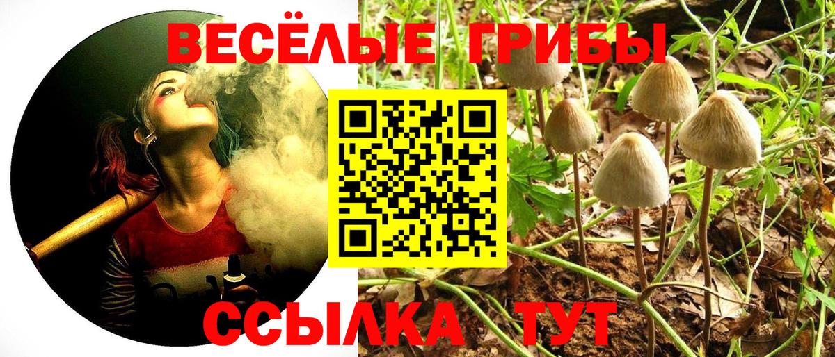 Псилоцибиновые грибы Psilocybine cubensis  Вход с VPN  Прохладный  Галлюциногенные грибы Magic Shrooms 